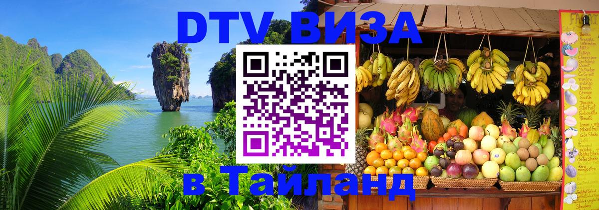 Оформление DTV визы под ключ: стоимость и тарифы, только загранпаспорт - Вологда  05.12.2025 